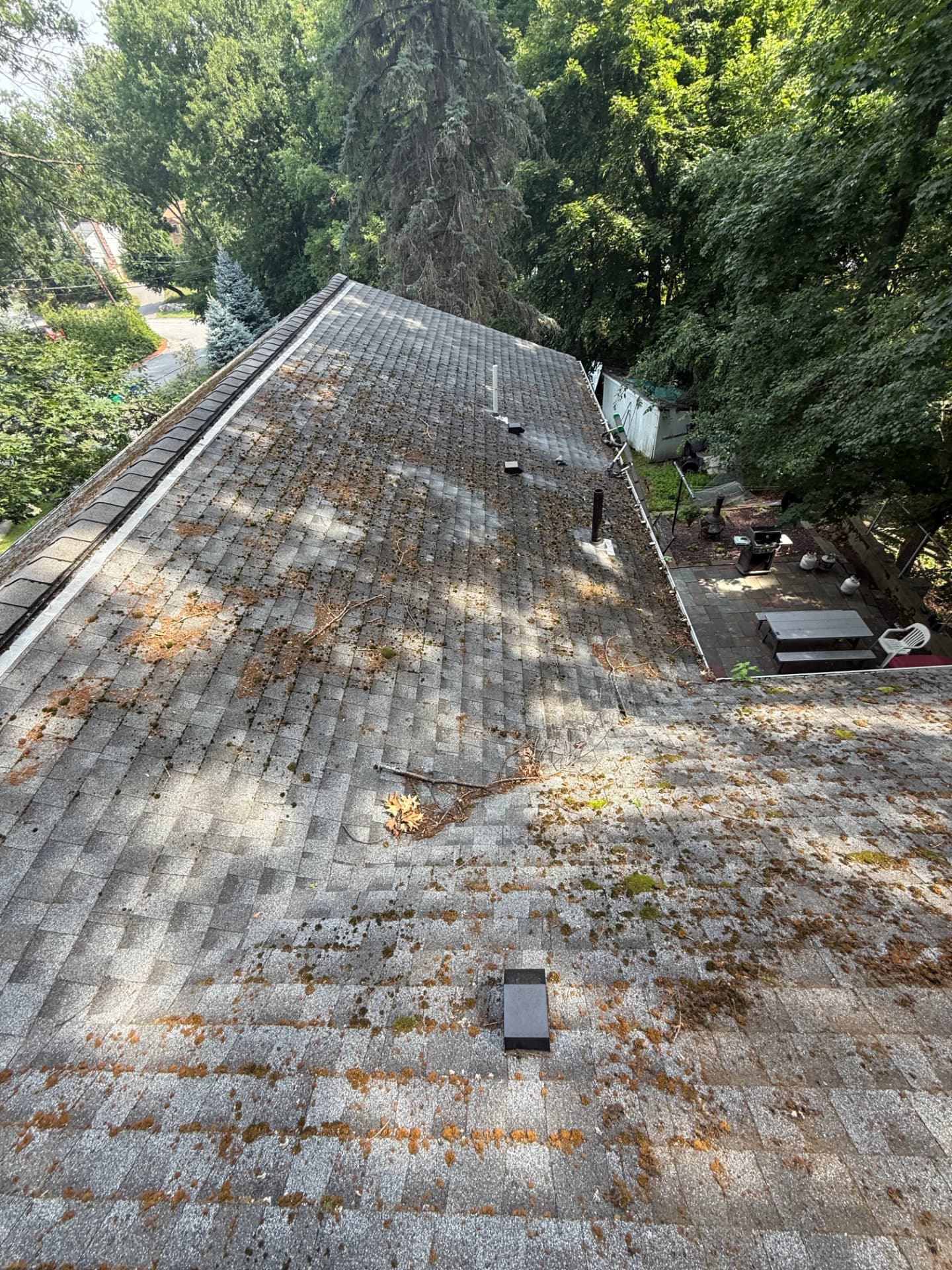 Roof dotted with patches of brown and green moss around a vent before cleaning
