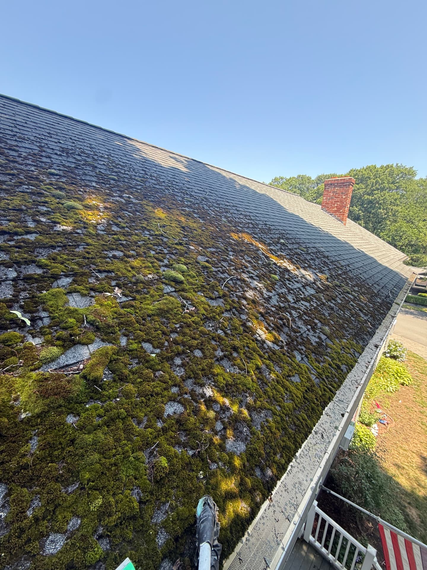 Roof covered in thick green moss near a red brick chimney before washing