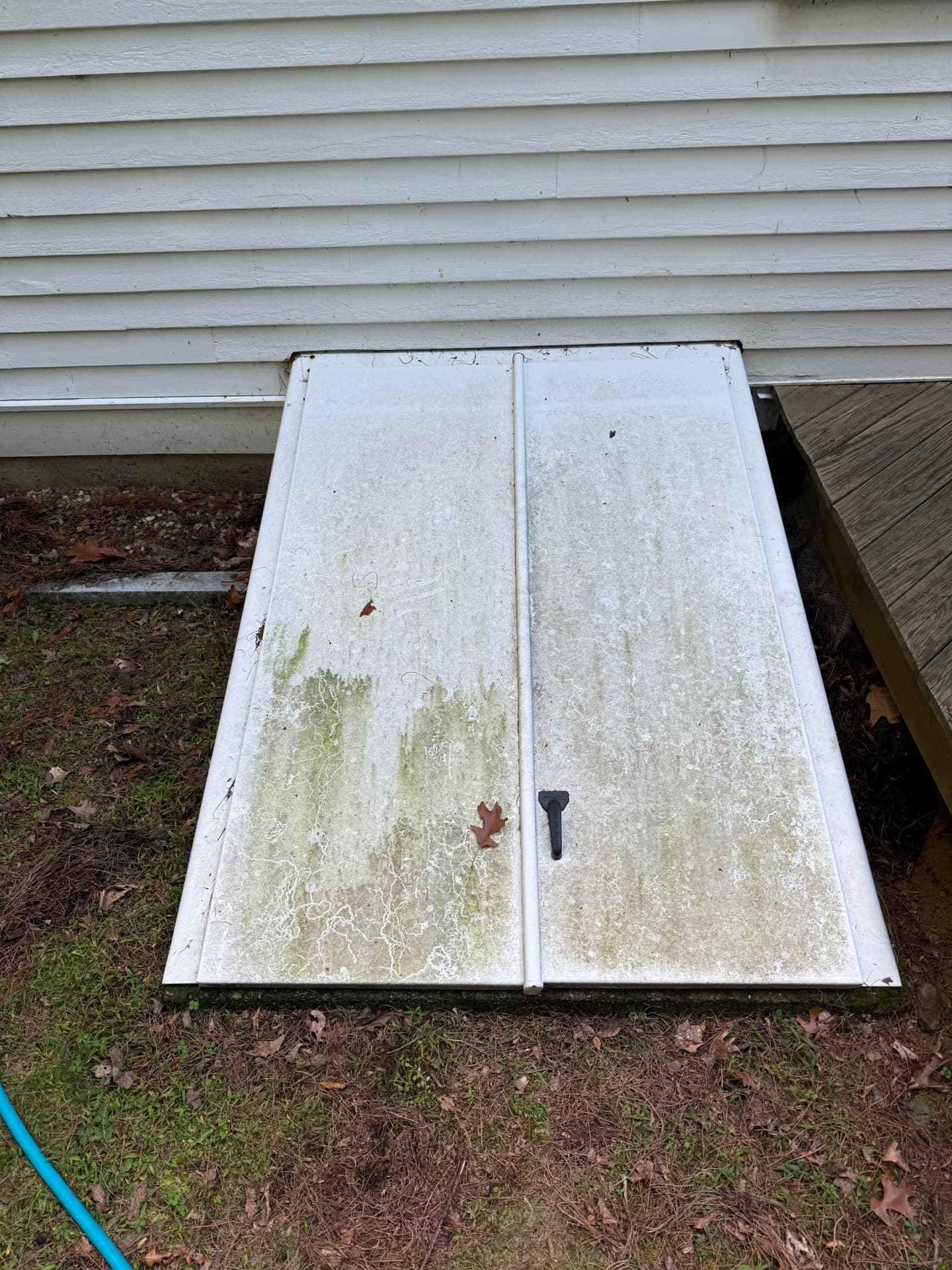 White metal cellar door covered in green algae and dark streaks before pressure washing