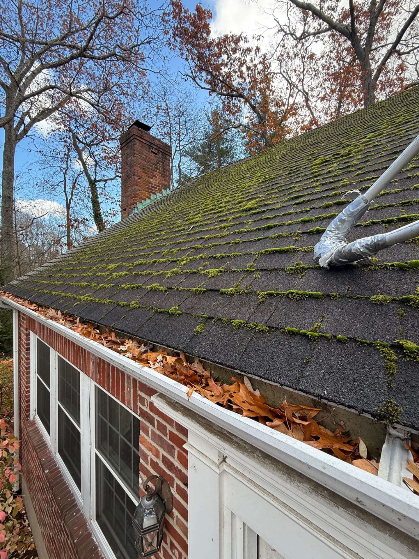 Roof with moss growth and a gutter clogged with leaves showing the need for professional gutter cleaning