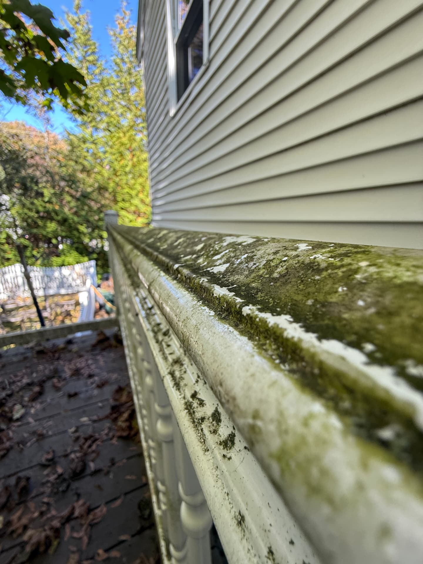 Deck railing coated in green moss and grime before cleaning