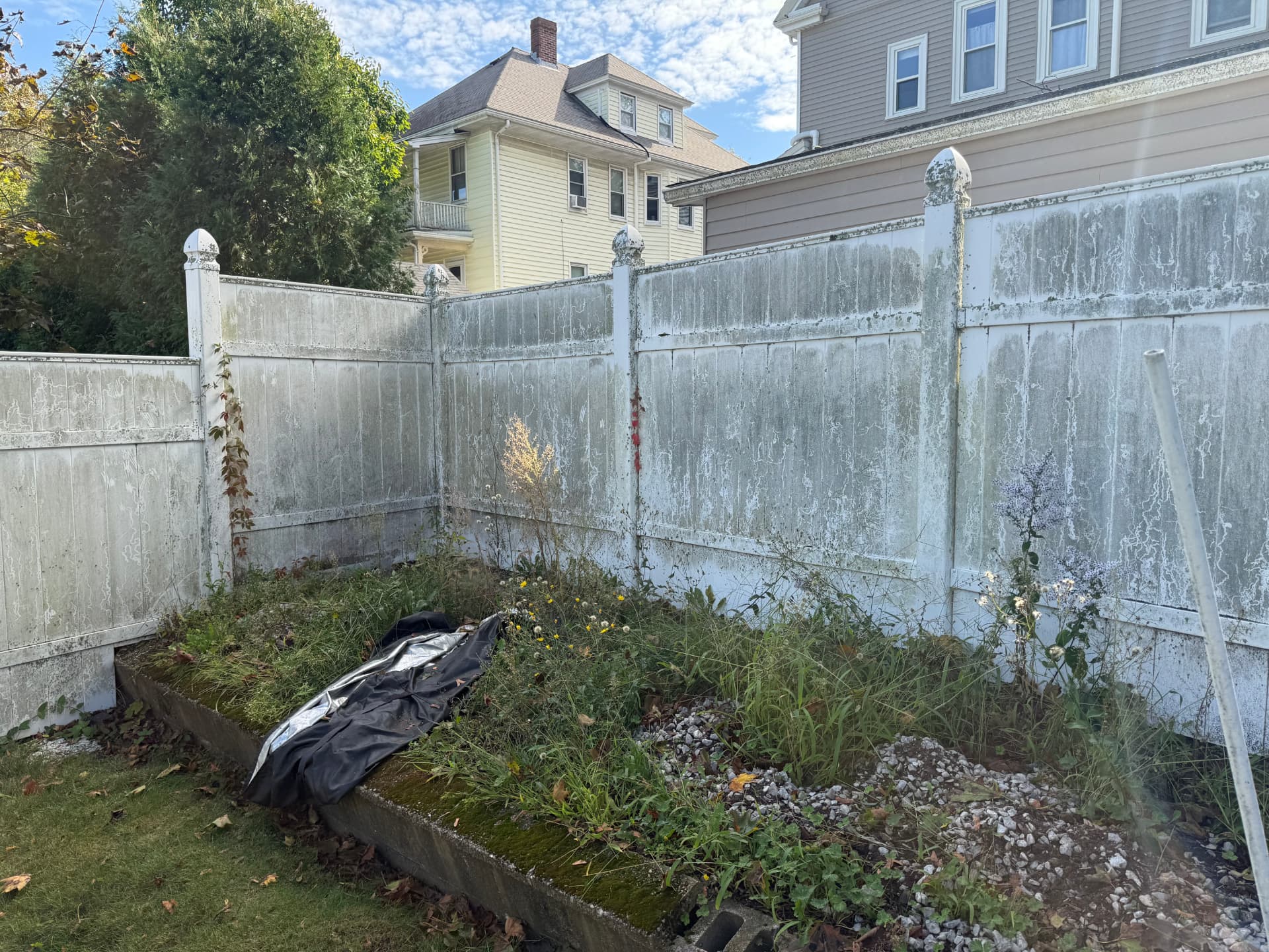 Vinyl fence corner covered in thick green algae and grime before cleaning
