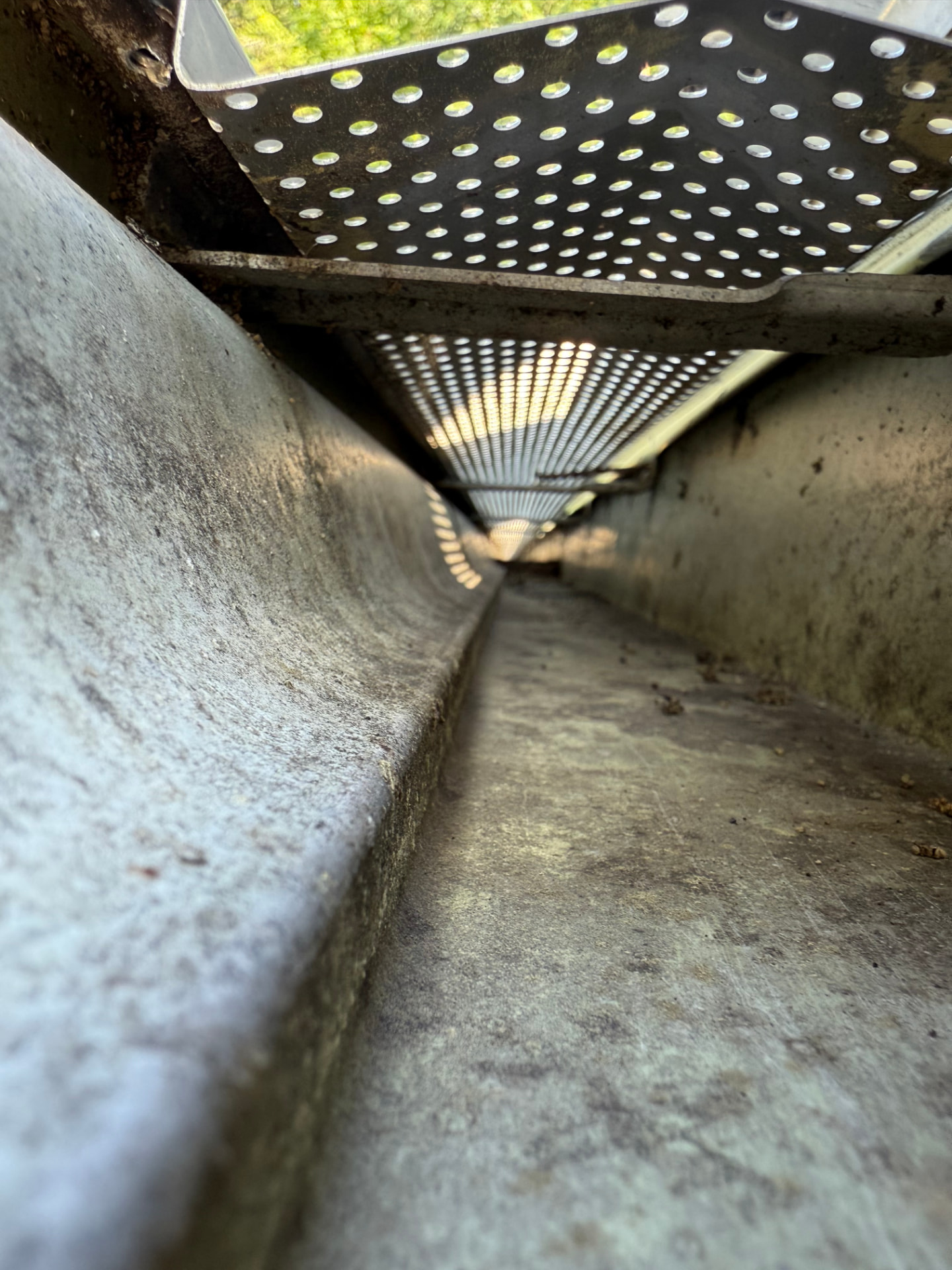 Gutter interior with perforated guard installed, sunlight filtering through