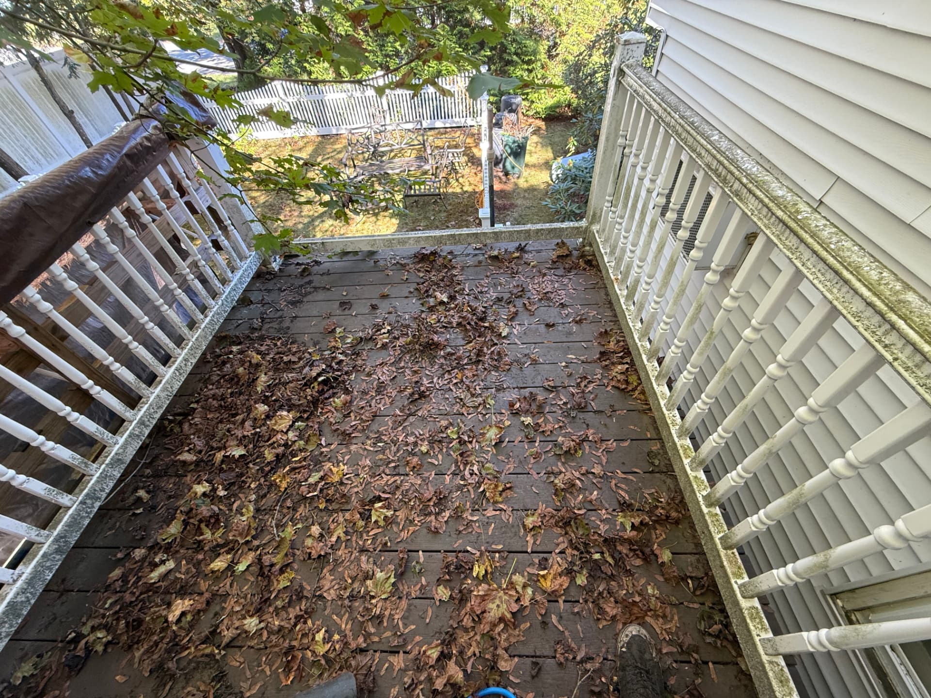 Deck boards buried under leaves and dirt before washing
